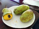 Pickin’ up pawpaws…