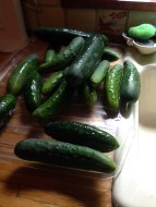 Cucumbers