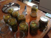 Pickles.18.17aug2014