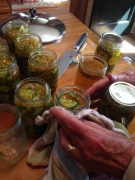 Pickles.19.17aug2014